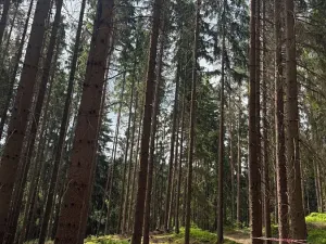 Prodej chaty, Kraslice, 42 m2