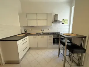 Pronájem bytu 2+1, Praha - Vinohrady, Čáslavská, 62 m2