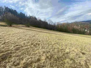 Prodej pole, Semily, 28783 m2