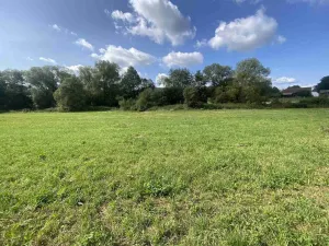 Prodej pole, Čížkov, 6291 m2