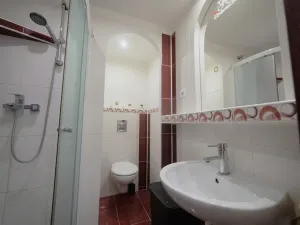 Prodej bytu 2+1, Olomouc, Družební, 43 m2