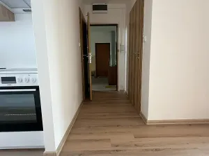 Prodej bytu 2+1, Písek, nábřeží 1. máje, 60 m2