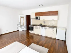 Pronájem bytu 1+kk, Plzeň, Veverkova, 38 m2