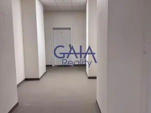 Pronájem bytu 2+kk, Dubňany, Hornická, 36 m2