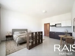Prodej bytu 1+kk, Brno, Svitavská, 29 m2