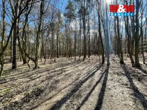 Prodej pozemku pro bydlení, Morašice, 1297 m2