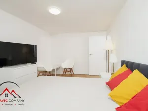 Pronájem bytu 1+1, Ostrava, Cihelní, 31 m2