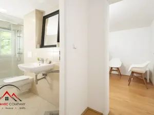 Pronájem bytu 1+1, Ostrava, Cihelní, 31 m2