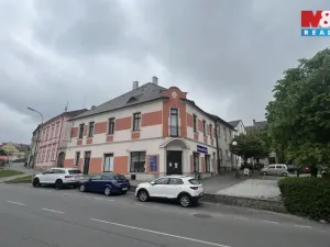 Pronájem ubytování, Veselí nad Lužnicí - Veselí nad Lužnicí I, náměstí T. G. Masaryka, 170 m2