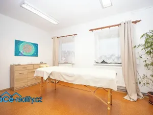 Prodej komerční nemovitosti, Slatina nad Zdobnicí, 572 m2