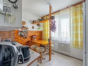 Prodej bytu 3+1, Brno, Spodní, 70 m2