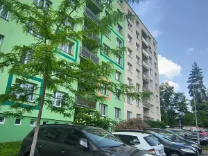 Pronájem bytu 2+1, Plzeň, Sokolovská, 56 m2