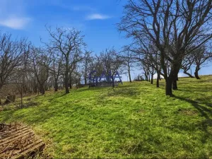 Prodej rodinného domu, Častkov, Slovensko, 67 m2
