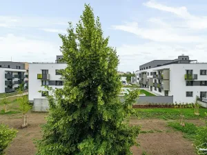 Prodej bytu 2+kk, Praha - Chodov, Divišovská, 53 m2