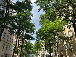 Pronájem bytu 2+kk, Praha - Žižkov, Žerotínova, 60 m2
