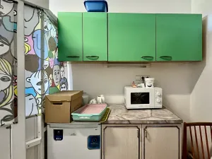 Pronájem bytu 3+1, Brno, Srbská, 89 m2