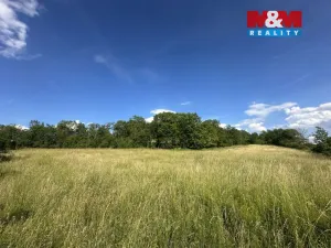 Prodej zahrady, Bechlín - Předonín, 625 m2