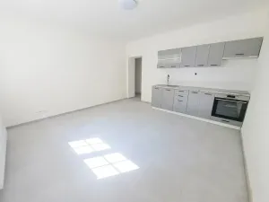 Pronájem bytu 1+1, Plzeň, Mánesova, 45 m2