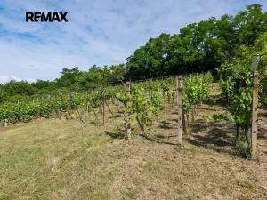 Prodej sadu/vinice, Moravské Bránice, 2403 m2