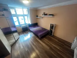 Prodej bytu 1+kk, Praha - Vinohrady, Písecká, 25 m2