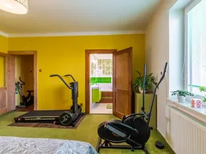Prodej rodinného domu, Písek, Erbenova, 315 m2