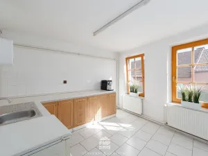 Prodej kanceláře, Cetkovice, Velká Strana, 464 m2