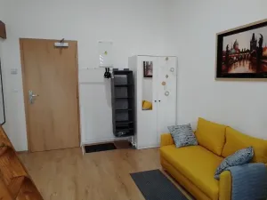 Prodej bytu 1+kk, Praha - Nové Město, Sokolská, 23 m2