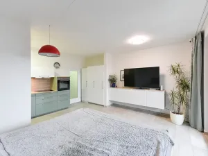 Pronájem bytu 1+kk, Praha - Košíře, Pod Šmukýřkou, 42 m2