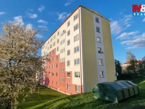 Pronájem bytu 3+1, Cheb, Osvobození, 56 m2