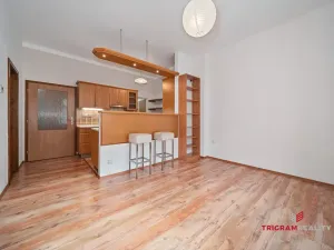 Pronájem bytu 2+kk, Hradec Králové, Mánesova, 50 m2