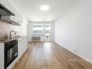 Pronájem bytu 2+1, Most, Brněnská, 35 m2
