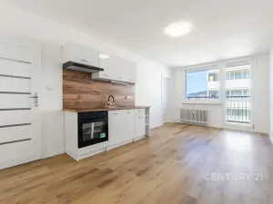 Pronájem bytu 2+1, Most, Brněnská, 35 m2