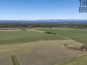 Prodej komerčního pozemku, Horní Jelení, 25556 m2