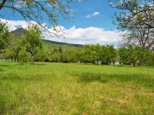 Prodej pozemku pro bydlení, Třebenice, 5844 m2