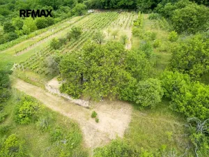 Prodej zahrady, Moravské Bránice, 2403 m2