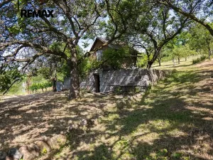 Prodej zahrady, Moravské Bránice, 2403 m2