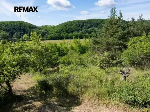 Prodej zahrady, Moravské Bránice, 2403 m2