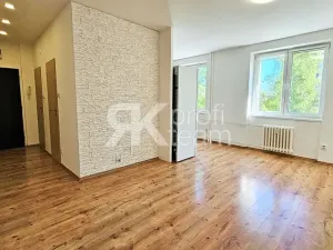 Pronájem bytu 3+kk, Ostrava, Josefa Skupy, 65 m2
