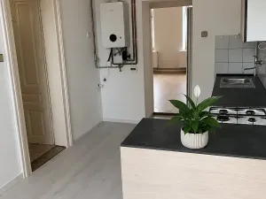 Pronájem bytu 1+1, Olomouc, Litovelská, 46 m2