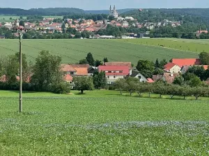 Prodej louky, Luže, 11020 m2
