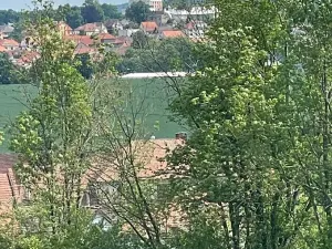 Prodej louky, Luže, 11020 m2