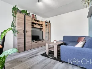 Pronájem bytu 2+1, Třebíč, Modřínová, 50 m2