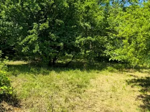 Prodej pozemku pro bydlení, Bukovina u Přelouče, 998 m2