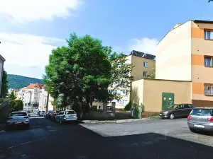 Pronájem bytu 2+kk, Ústí nad Labem, Koněvova, 40 m2