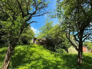 Prodej rodinného domu, Úsobrno, 80 m2