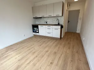Prodej bytu 1+kk, Karlovy Vary, Fibichova, 20 m2