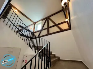 Pronájem bytu 3+kk, Opava, Přemyslovců, 60 m2