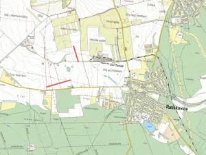 Prodej podílu pole, Ratíškovice, 3894 m2