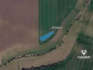 Prodej podílu pole, Žabonosy, 677 m2