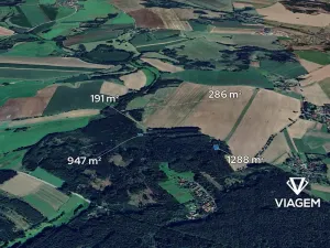 Prodej podílu lesa, Vyklantice, 1356 m2